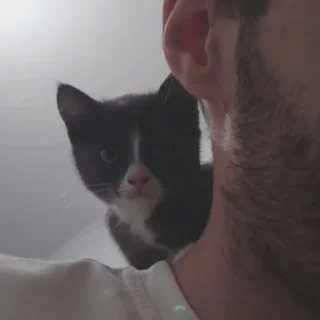 😶