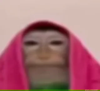 😳