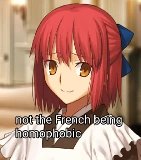 🇫🇷