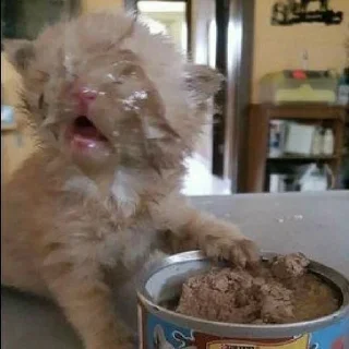 😮