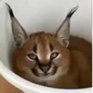 😐