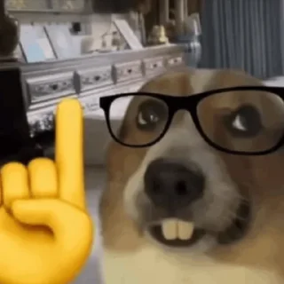 🤓