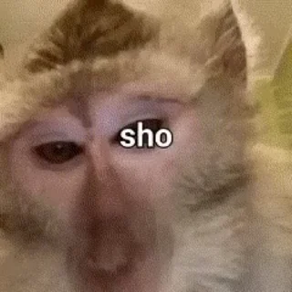❓