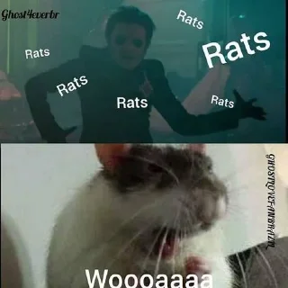 🐭