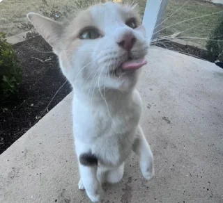 😛