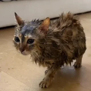 💦