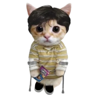 🩼