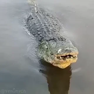 😳