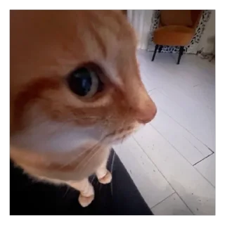 👀