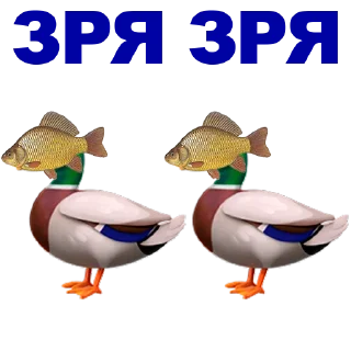 🐠