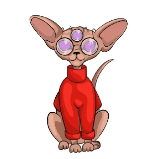 😎