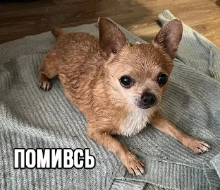 🛁