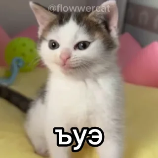 🤮