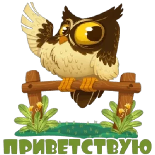 🦉