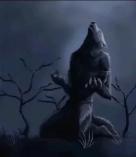 🐺