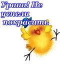 🐥