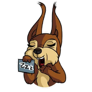 😴