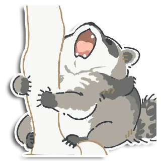 🦝