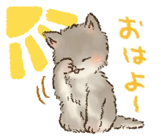 🐱