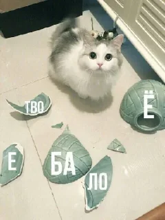 👊