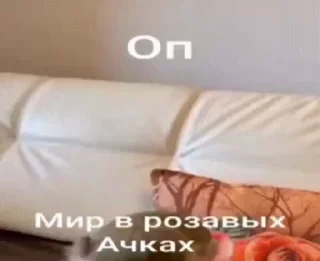 😎