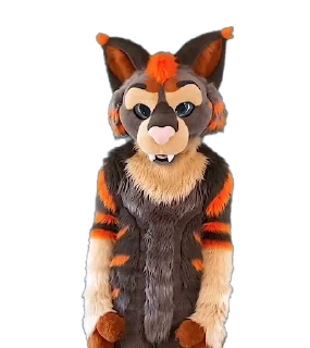 lynxboye