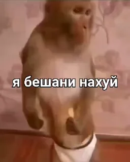 👺