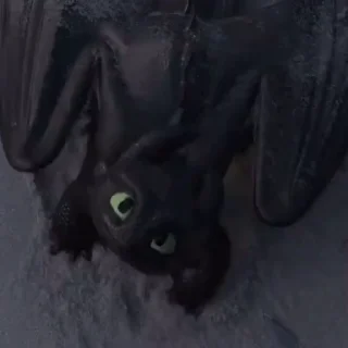 🎶