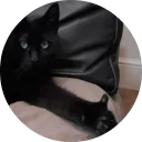 🐱