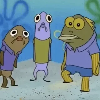 🧽