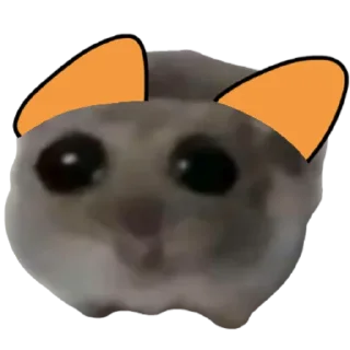 Симба Хомяки @simbpimp