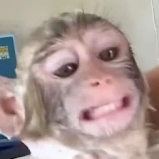 😬