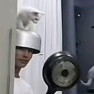 🤍