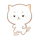 🐱