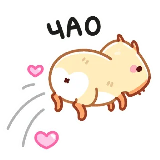 👋