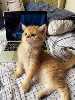 🤓