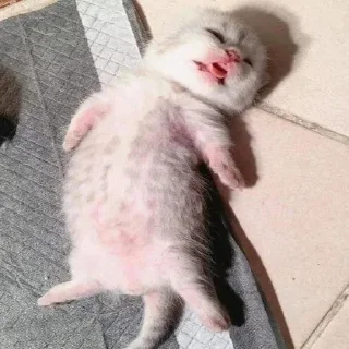 😵‍💫