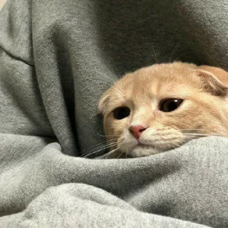 😢