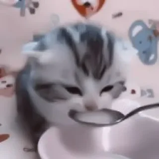 🥛
