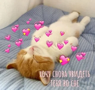 😇