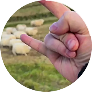 🤘