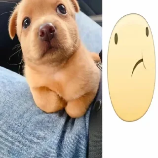 🌟