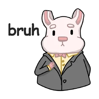 🐰