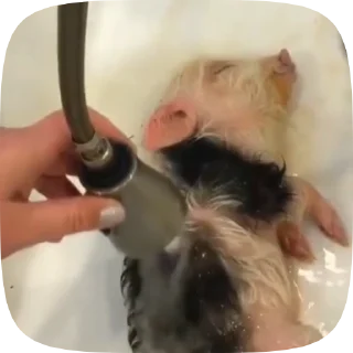 🛀