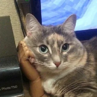 🙄