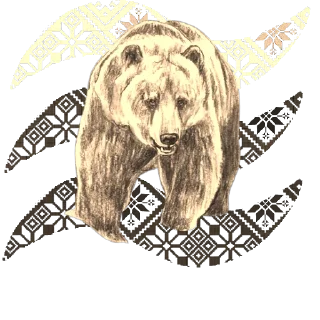 🐻