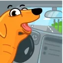 😱