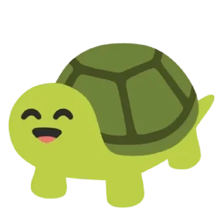 🐢