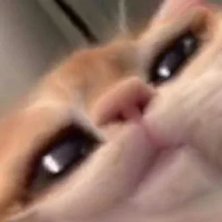 😏