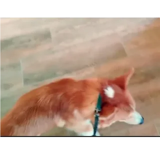 👍